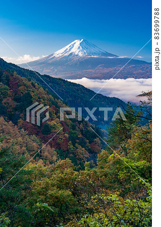 (山梨県)紅葉の御坂道から望む雲海・富士山 (山梨県)紅葉の御坂道から望む雲海・富士山 83699788