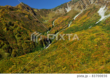 錦秋の立山黒部アルペンルート（タンボ平（黒部平＆大観峰）の絶景紅葉） 83700656