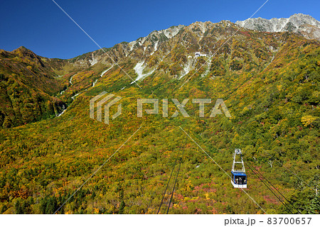 錦秋の立山黒部アルペンルート（タンボ平（黒部平＆大観峰）の絶景紅葉） 83700657