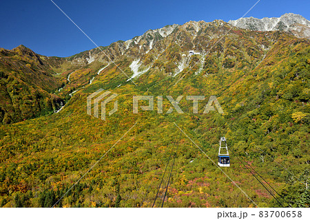 錦秋の立山黒部アルペンルート（タンボ平（黒部平＆大観峰）の絶景紅葉） 83700658