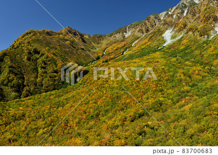錦秋の立山黒部アルペンルート（タンボ平（黒部平＆大観峰）の絶景紅葉） 83700683