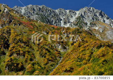 錦秋の立山黒部アルペンルート(タンボ平(黒部平&大観峰)の絶景紅葉) 錦秋の立山黒部アルペンルート(タンボ平(黒部平&大観峰)の絶景紅葉) 83700855
