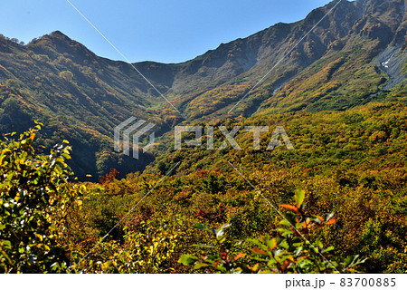 錦秋の立山黒部アルペンルート(タンボ平(黒部平&大観峰)の絶景紅葉) 錦秋の立山黒部アルペンルート(タンボ平(黒部平&大観峰)の絶景紅葉) 83700885