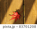 1枚の赤く染まったモミジの落ち葉 83701208