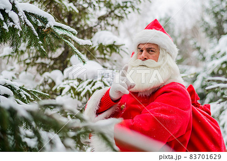 Surprised Santa Claus walks through a snowy coniferous forest at the North Pole in Lapland. Merry Christmas. Postcard. Surprised Santa Claus walks through a snowy coniferous forest at the North Pole in Lapland. Merry Christmas. Postcard. 83701629