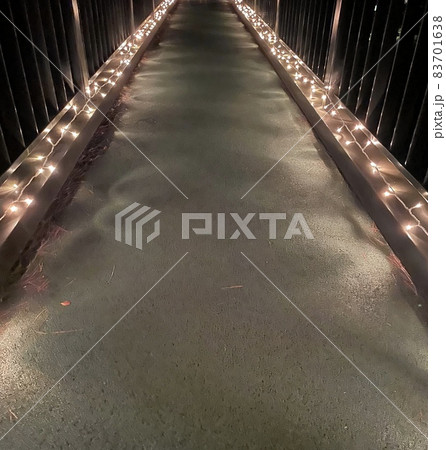 ほんのり明るい夜道 ほんのり明るい夜道 83701638