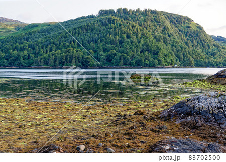 Loch Duich at sunset, Dornie, Western Highlands, Scotland Loch Duich at sunset, Dornie, Western Highlands, Scotland 83702500