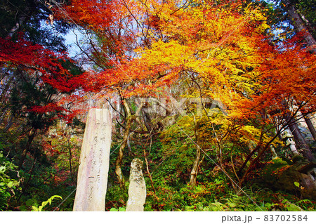 【山形】秋の山寺(立石寺) 参道脇の鮮やかな紅葉 【山形】秋の山寺(立石寺) 参道脇の鮮やかな紅葉 83702584