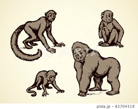 Lemur and monkeys. Vector illustration Lemur and monkeys. Vector illustration 83704319