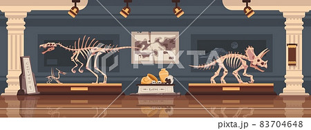 Museum interior. Paleontological exhibition with prehistoric dinosaur skeleton. Fossils and archaeological discoveries. Historical artefacts and sculls on pedestals. Vector science room 83704648
