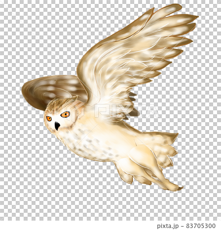 Flying Pharaoh Eagle Owl 83705300