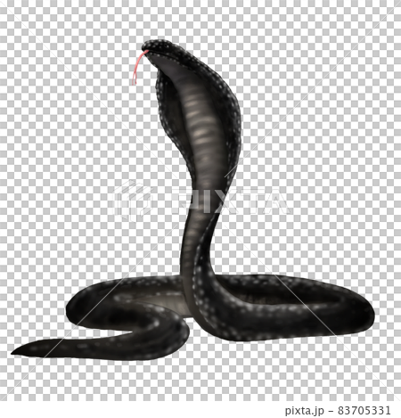 サバククロコブラのイラスト 83705331