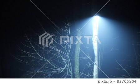 Mysterious lone street light and leafless trees at foggy night Mysterious lone street light and leafless trees at foggy night 83705504