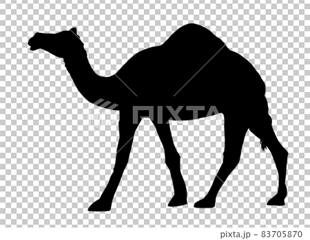 ヒトコブラクダのシルエットのイラスト素材