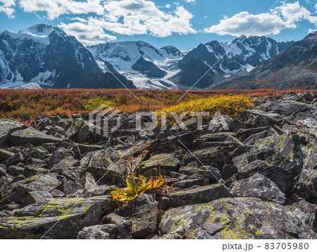 Stone river (called also stone run, stone stream or stone sea ) on autumn Altai mountains. 83705980