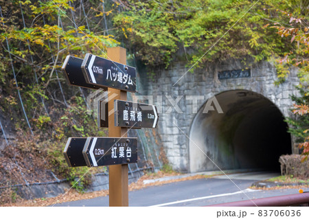 秋の吾妻渓谷　群馬県 83706036