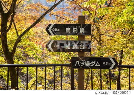 秋の吾妻渓谷　群馬県 83706044