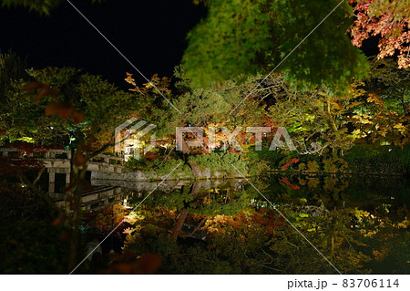 ライトアップされた放生池のリフレクションと弁天社 83706114