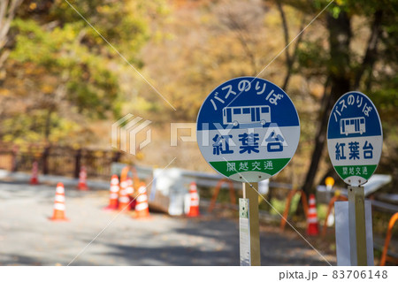 秋の吾妻渓谷 バス停 秋の吾妻渓谷 バス停 83706148