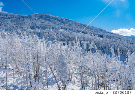 【冬素材】北横岳の霧氷と青空【長野県】 83706187
