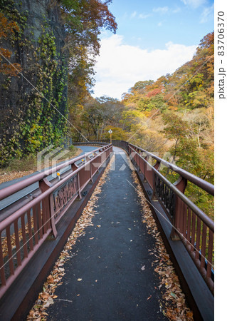 秋の吾妻渓谷　八ッ場ダムまでの遊歩道 83706370