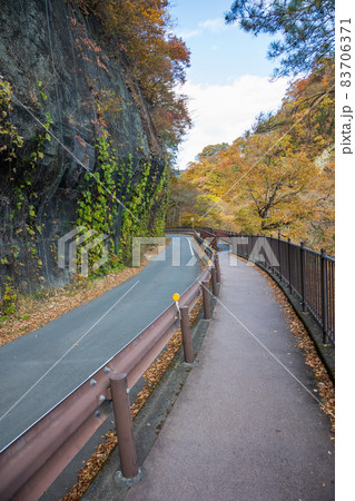 秋の吾妻渓谷 八ッ場ダムまでの遊歩道 秋の吾妻渓谷 八ッ場ダムまでの遊歩道 83706371