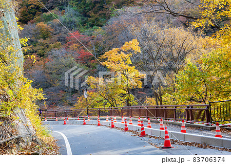 秋の吾妻渓谷 八ッ場ダムまでの遊歩道 秋の吾妻渓谷 八ッ場ダムまでの遊歩道 83706374
