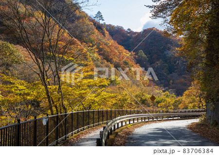 秋の吾妻渓谷 八ッ場ダムまでの遊歩道 秋の吾妻渓谷 八ッ場ダムまでの遊歩道 83706384