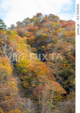 秋の吾妻渓谷 群馬県 秋の吾妻渓谷 群馬県 83706860
