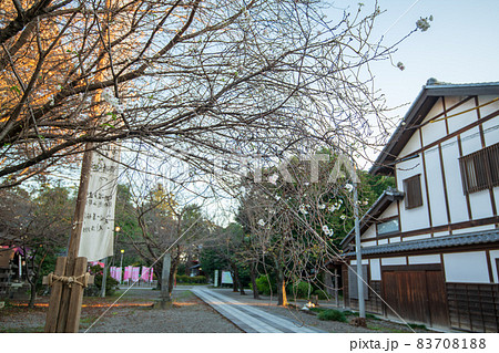 妻沼聖天山 歓喜院 境内 入口付近 秋風景 妻沼聖天山 歓喜院 境内 入口付近 秋風景 83708188