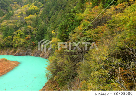 長野県大町市平高瀬入 高瀬渓谷のターコイズブルーの川面と紅葉 長野県大町市平高瀬入 高瀬渓谷のターコイズブルーの川面と紅葉 83708686