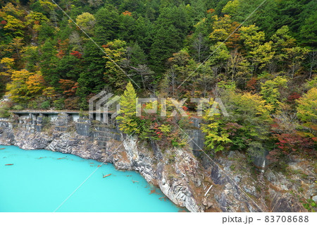 長野県大町市平高瀬入　高瀬渓谷のターコイズブルーの川面と紅葉 83708688