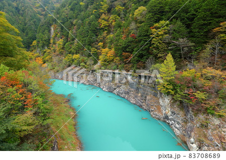 長野県大町市平高瀬入　高瀬渓谷のターコイズブルーの川面と紅葉 83708689