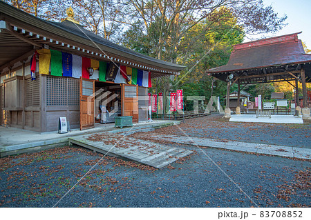 妻沼聖天山 歓喜院 大師堂 秋風景 妻沼聖天山 歓喜院 大師堂 秋風景 83708852