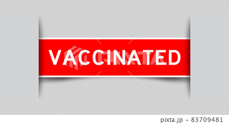 Inserted red color label sticker with word vaccination on gray background 83709481