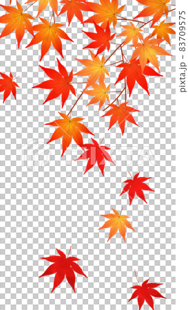 紅葉 もみじ 秋の風景のイラスト素材