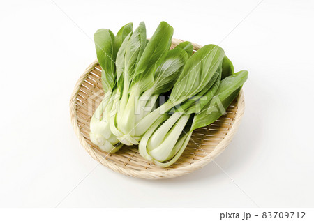 チンゲンサイ 83709712