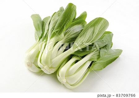 チンゲンサイ 83709766