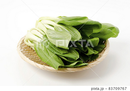 チンゲンサイ 83709767