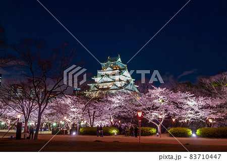 大阪城の桜ライトアップ 83710447