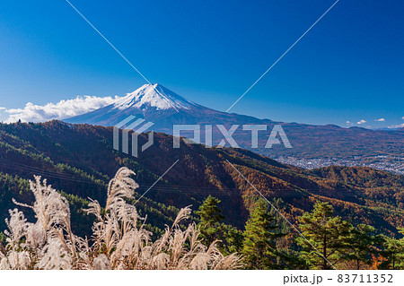 (山梨県)林道のススキと富士山 (山梨県)林道のススキと富士山 83711352