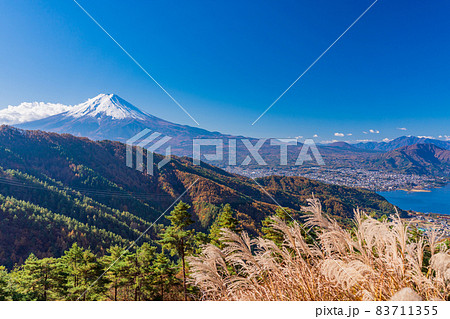 (山梨県)林道のススキと富士山 (山梨県)林道のススキと富士山 83711355