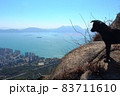 香港_野良犬 83711610