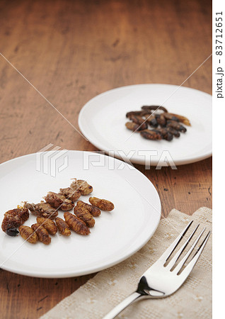 昆虫食 83712651
