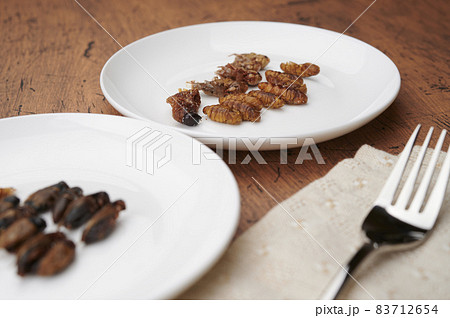 昆虫食 83712654