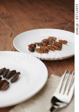 昆虫食 昆虫食 83712655