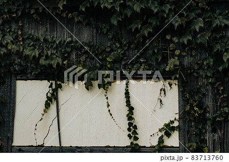 つたが這う古民家の壁2 83713760
