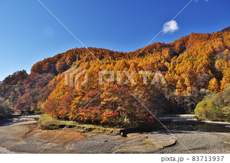 奥裾花峡谷の紅葉 奥裾花峡谷の紅葉 83713937