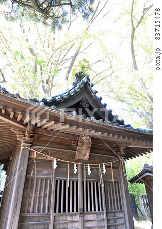 船橋大神宮の金刀比羅社 83715478