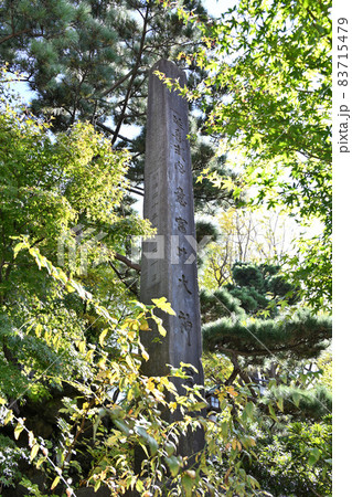 船橋大神宮 83715479